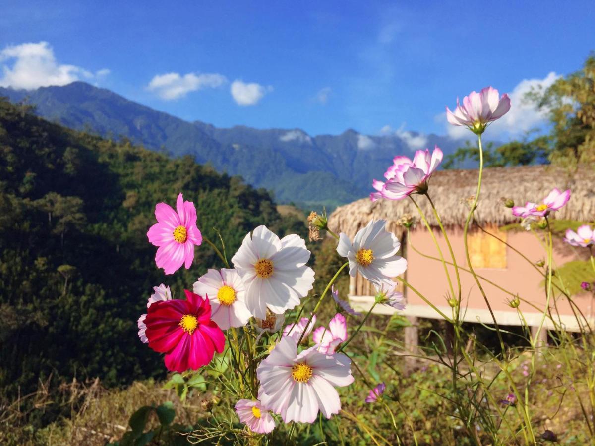 Chapa Farmstay - Mountain Retreat ซาปา ภายนอก รูปภาพ
