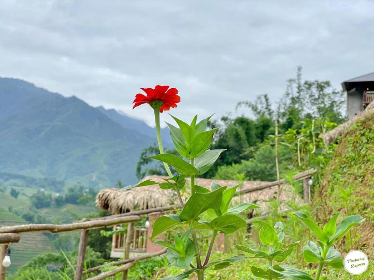 Chapa Farmstay - Mountain Retreat ซาปา ภายนอก รูปภาพ