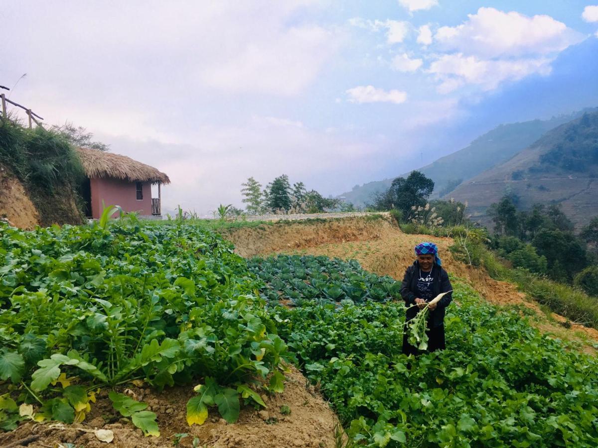Chapa Farmstay - Mountain Retreat ซาปา ภายนอก รูปภาพ