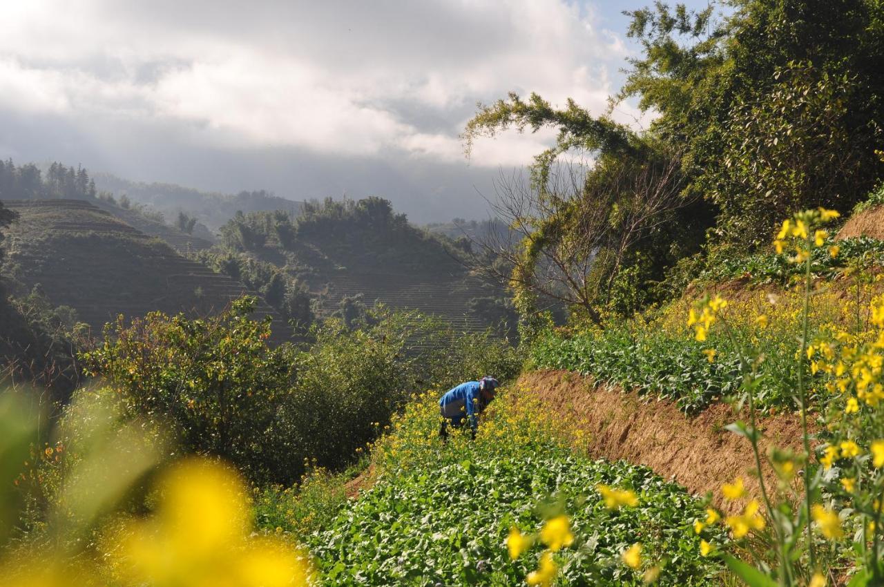 Chapa Farmstay - Mountain Retreat ซาปา ภายนอก รูปภาพ